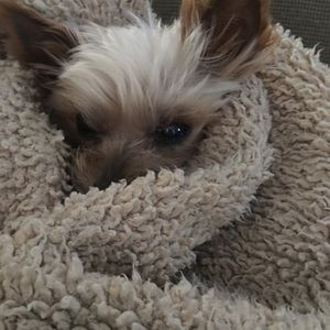 Meet your Posher, Mariola